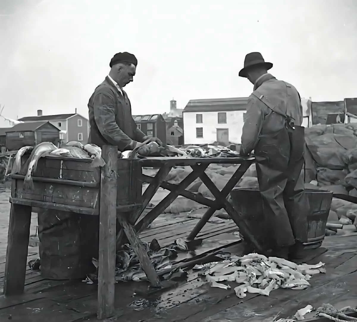 Trabajo de trituración del bacalao