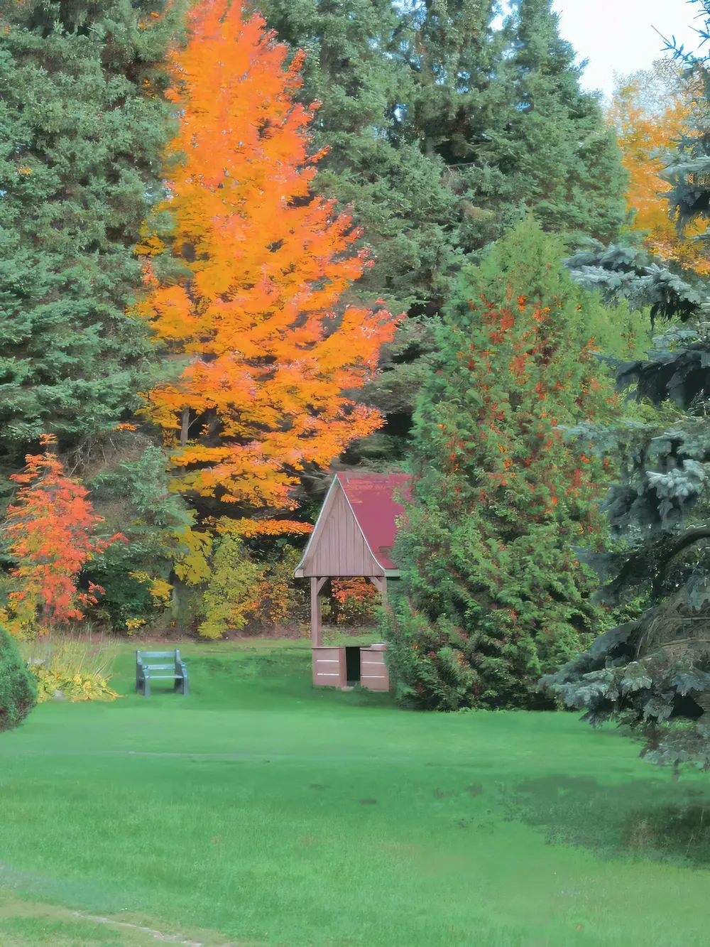 La splendeur des lieux au fil des saisons · Photographie 17