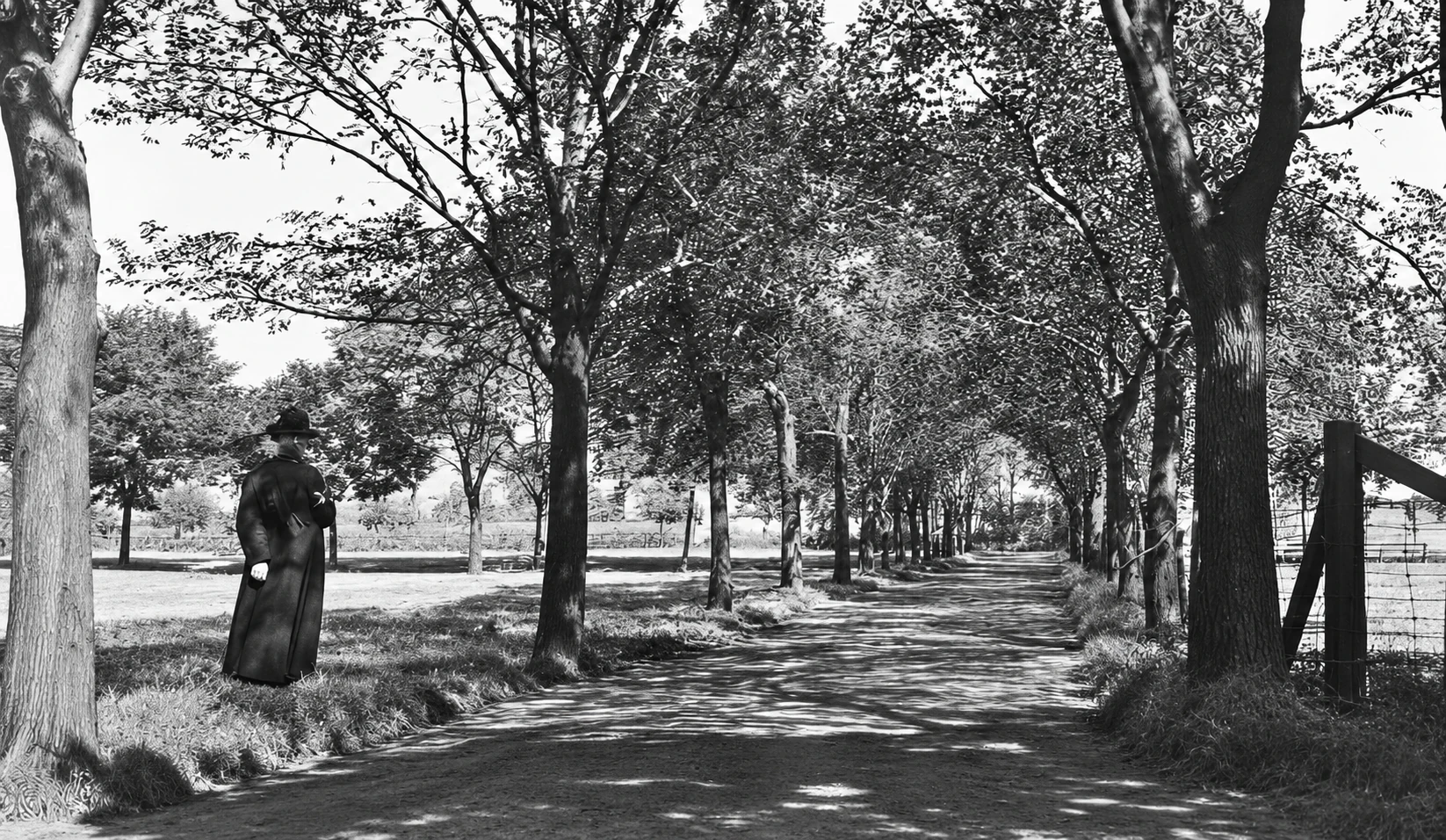 Viale del cimitero